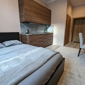 A1 In Downtown Of Apartament